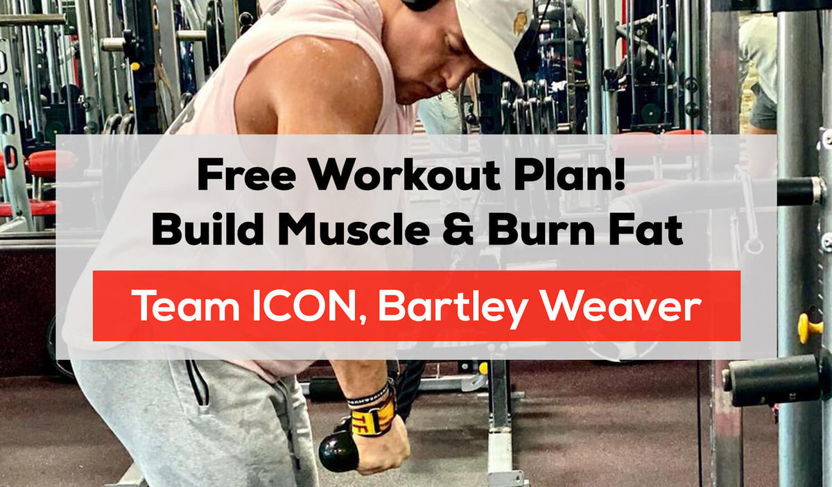 Workout Plan Build Muscle Burn Fat